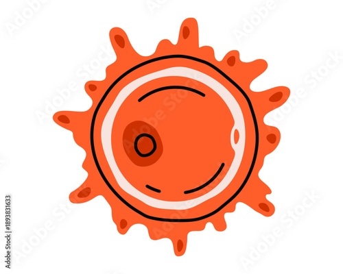 Hand drawn cute illustration of oocyte. Flat vector female egg cell doodle. Human reproductive system. In vitro fertilization sticker, icon. Gynecology or pregnancy concept. Isolated.