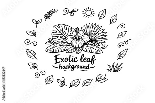 Exotic leaf background. Hand-drawn doodle illustration of Exotic leaf background. In the middle, one slightly