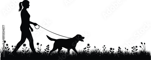Black silhouette of woman walking dog on leash in flower meadow, female pet owner exercising with labrador in park isolated on white background.