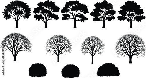 Black silhouette of deciduous trees, winter bare branches, and garden shrubs set isolated on white background for architectural landscape design and vector illustration map