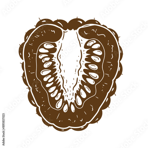 Vintage Grunge texture A drawing of a kiwi fruit cut in half showing seeds and flesh  kiwi fruit cut in half showing seeds and flesh