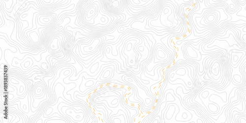 Black and white lines seamless Topographic map patterns, topography line map. Vintage outdoors style. The stylized height of the topographic map contour in lines and contours isolated on transparent.