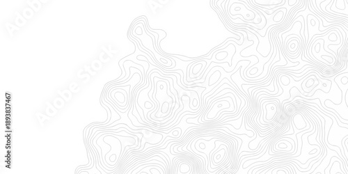 Black and white lines seamless Topographic map patterns, topography line map. Vintage outdoors style. The stylized height of the topographic map contour in lines and contours isolated on transparent.