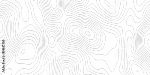 Black and white lines seamless Topographic map patterns, topography line map. Vintage outdoors style. The stylized height of the topographic map contour in lines and contours isolated on transparent.