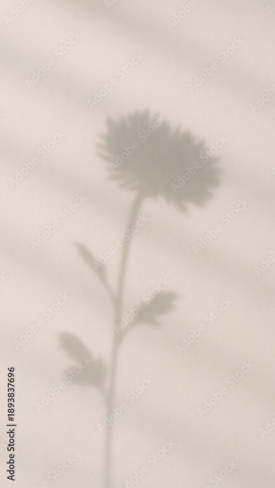 Obraz premium Minimalist floral shadow art mobile wallpaper