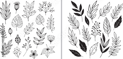 A comprehensive set of botanical sketches featuring various leaves, stems, and berries in both minimalist black ink line art and bold, solid black silhouettes on a white background.