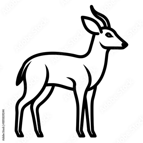 Bushbuck vector illustration with simple thin outline, African antelope art