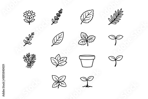Herbal spring plants. Line outline icon set of Herbal spring plants: chamomile flower, lavender sprig, mint