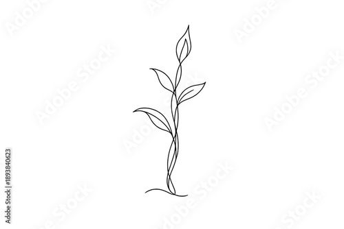 Elegant Line Plant. Organic Growth. Minimalistic one-line drawing plant form emerging upward with rhythmic