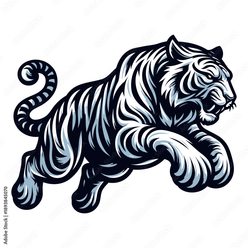 Obraz premium Tiger vector and illustration.
