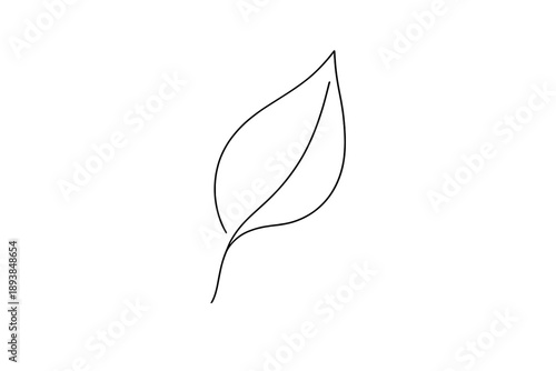 Minimal leaf. Minimalistic one-line drawing single leaf with smooth organic curve and delicate stem,