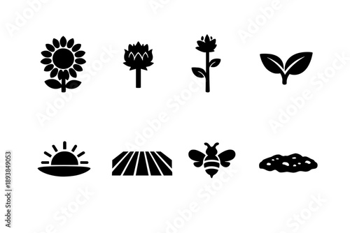 Sunflower fields. Filled icon set of Sunflower fields: sunflower bloom, sunflower bud, tall stem, leaf pair,