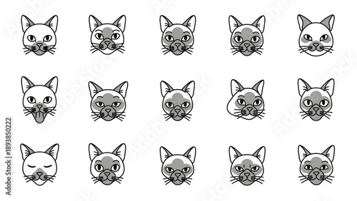 Collection of cat face expressions 1.