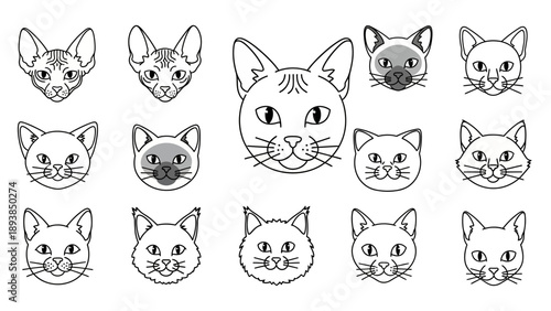 Collection of cat face line drawings 5.
