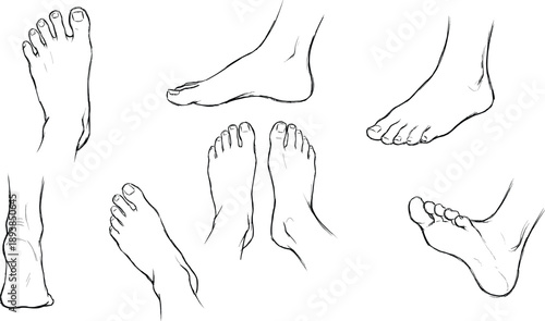Human feet anatomy line art sketch collection showing multiple foot angles toes soles minimalist medical illustration isolated white background vector design reference