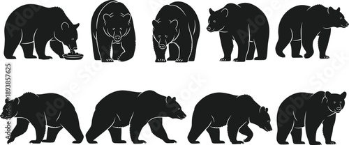 Black silhouette set of wild grizzly and brown bears in various walking standing and feeding poses for nature and wildlife design,