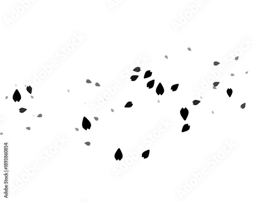 illustration of leaves falling in the wind, black and white image, vector illustration

