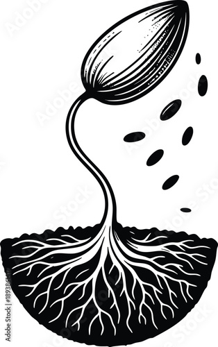 Seed sprouting with roots in soil concept of growth and new beginnings hand-drawn illustration isolated on white background