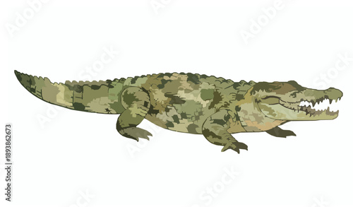 Realistic watercolor crocodile full body wildlife vector illustration isolated on white background