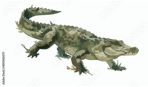 Dynamic watercolor crocodile in motion wildlife vector illustration isolated on white background