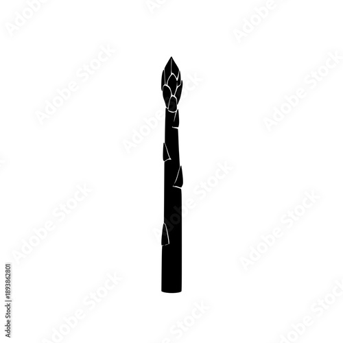 Black Asparagus Vegetable Flat Design Vector Illustration