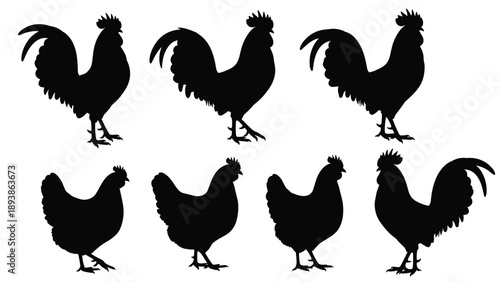 Black Silhouette Set of Roosters and Hens, Farm Poultry Illustrations for Countryside Branding, Livestock Icons, and Organic Food Label Design,