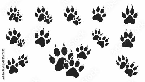 Collection of animal paw prints.