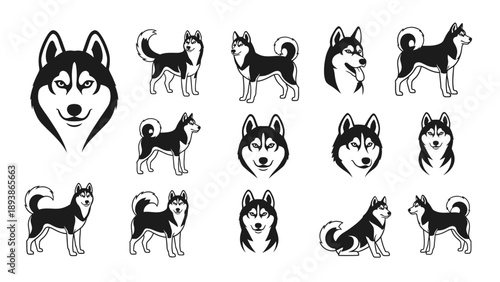 Collection of husky dog illustrations.
