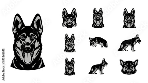German Shepherd Dog Breed Illustrations.