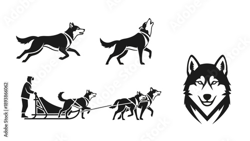 Husky dog and sled illustrations.