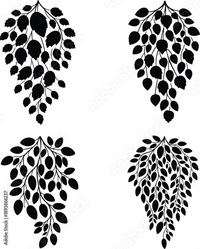 Collection of black hanging dense leaf cluster silhouettes vector illustration for botanical nature decoration and floral garden design elements.