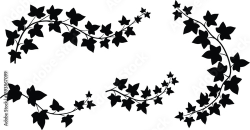Collection of decorative black ivy vine curved border silhouettes vector illustration for floral frame design and botanical nature dividers.