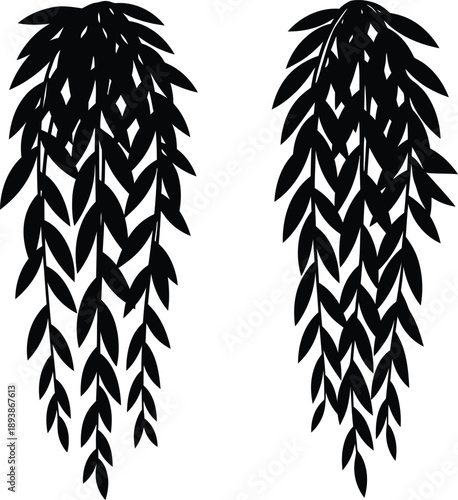 Black weeping willow branch silhouettes vector illustration for hanging nature decoration and tree foliage design.