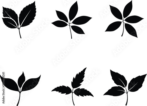 Collection of black compound leaf silhouettes vector illustration for botanical nature design and garden foliage graphic elements.