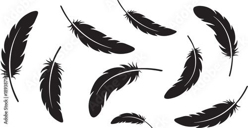 Black Feathers Floating on White Background Silhouette Illustration