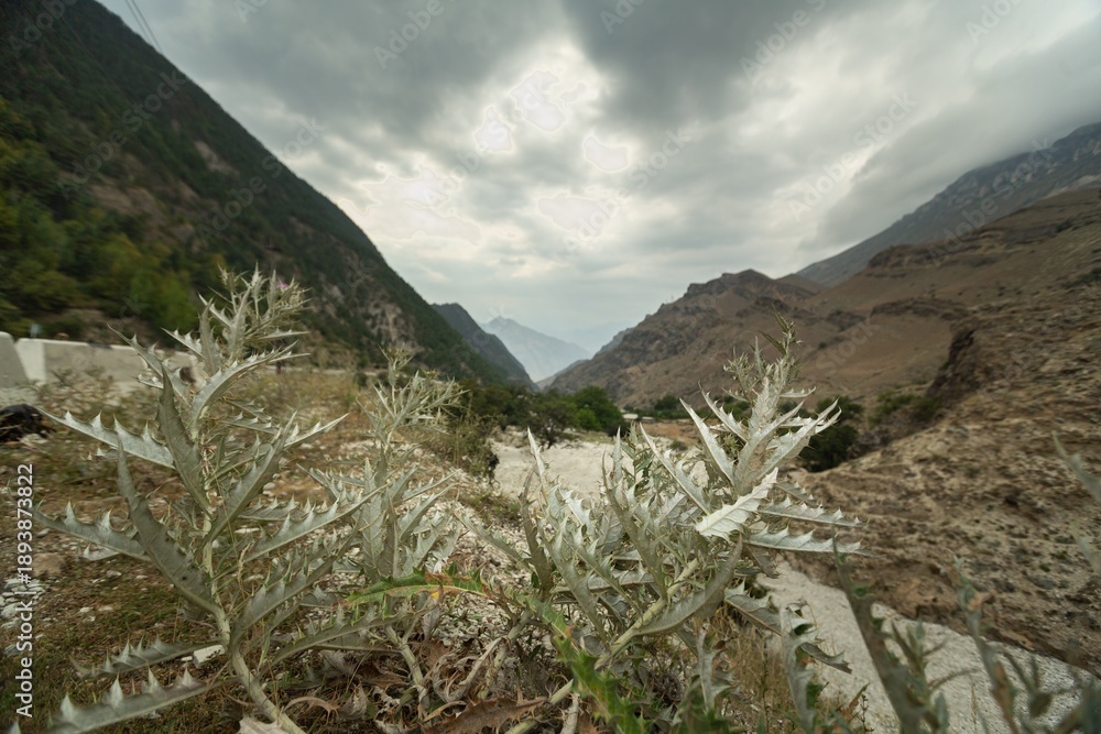 Obraz premium Beautiful natural of river in mountains background