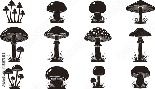Mushroom silhouette collection with wild forest fungi shapes, botanical nature elements, black vector illustration set isolated on white background
