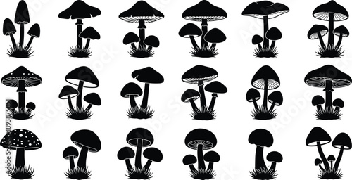 Mushroom silhouette collection with wild forest fungi shapes, botanical nature elements, hand drawn toadstool set isolated on white background