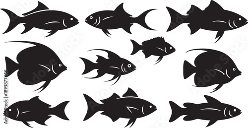 Black Fish Silhouettes on White Background Illustration Set