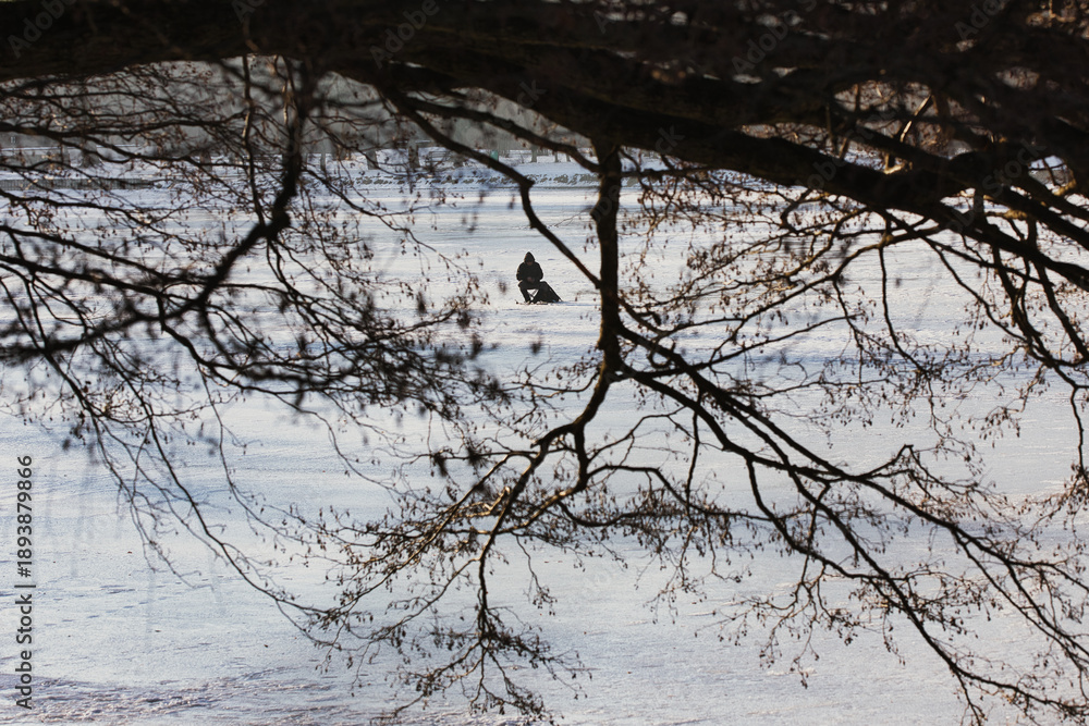 Obraz premium Angler on Frozen Pond in Winter Forest