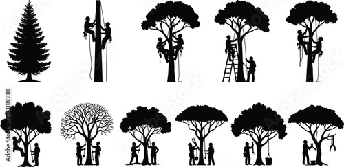 Arborist tree care service silhouettes with workers climbing pruning and trimming branches set isolated on white background for landscaping vector