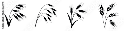 Abstract Cereal Grain Silhouettes: Minimalist Wheat, Barley, and Oat Stalk Vector Icons for Agriculture and Farming Design