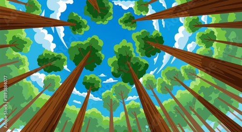Upward Perspective Vector Illustration Lush Green Forest Canopy Reaching for Bright Blue Sky with Fluffy White Clouds, Evoking Growth and Natural Beauty