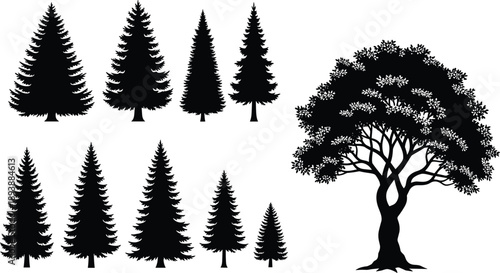 Black Evergreen Pine and Deciduous Leafy Tree Silhouette Vector Set Isolated on White Background for Forest Nature and Landscape Design (20 words)