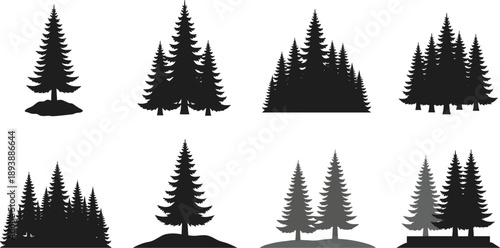 Black pine tree silhouettes set with various evergreen spruce and fir forest species isolated on white background for nature vector