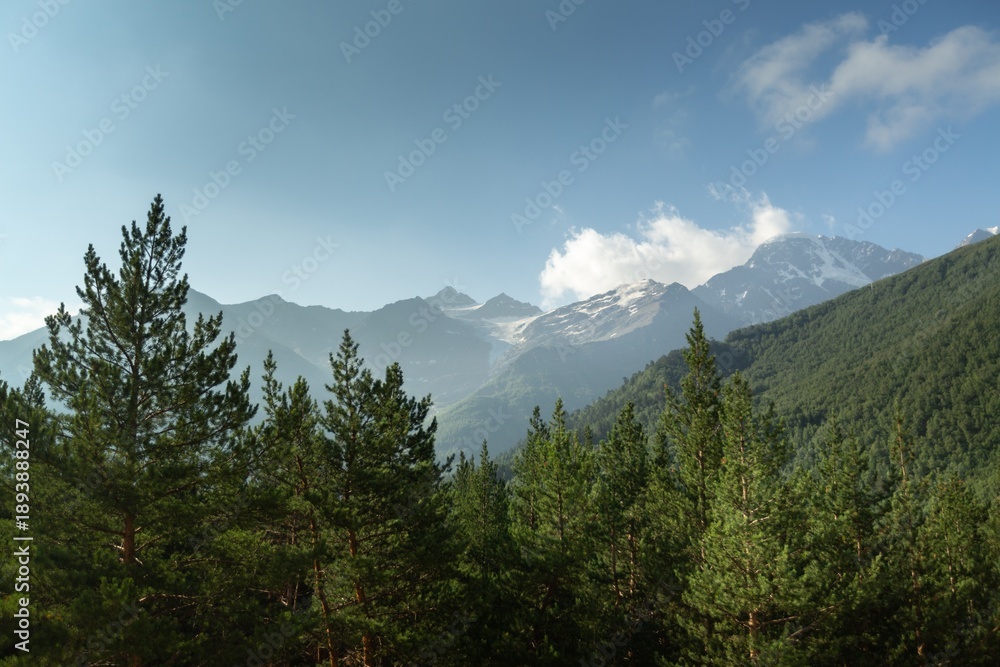 Fototapeta premium Mountain green hill valley landscape.