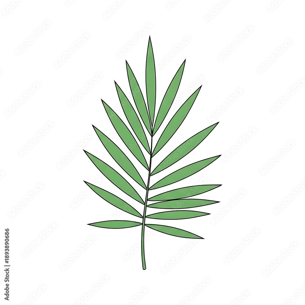 Obraz premium A stylized illustration of a single green palm frond, representing nature and tropical themes