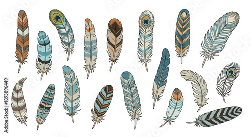 Collection of Various Patterned Bird Feathers including Peacock and Spotted Designs Illustration Set