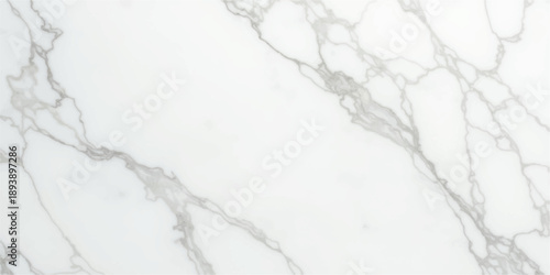 A textured winter backdrop featuring a grey pattern of snow covered branches against a frozen stone wall with a grunge marble surface