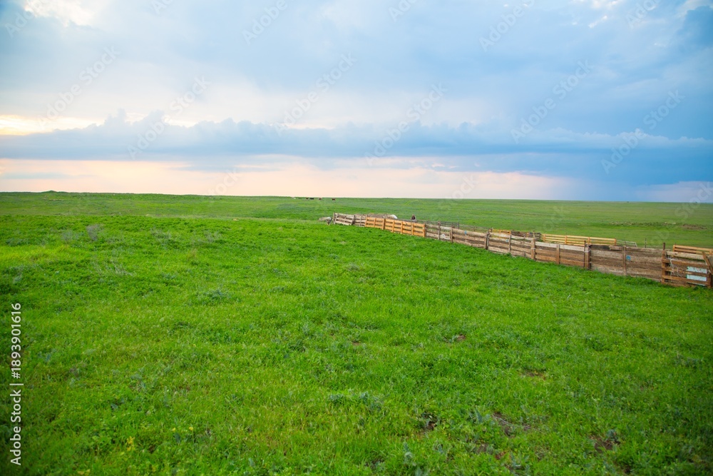 Fototapeta premium Vibrant green lawn and natural landscape in summer